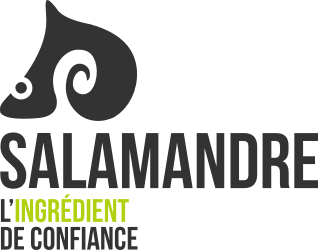 Salamandre